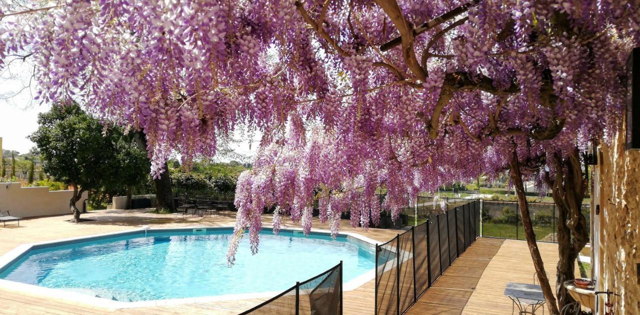 Chateau Montplaisir Charming B&B In Provence Valréas Dış mekan fotoğraf