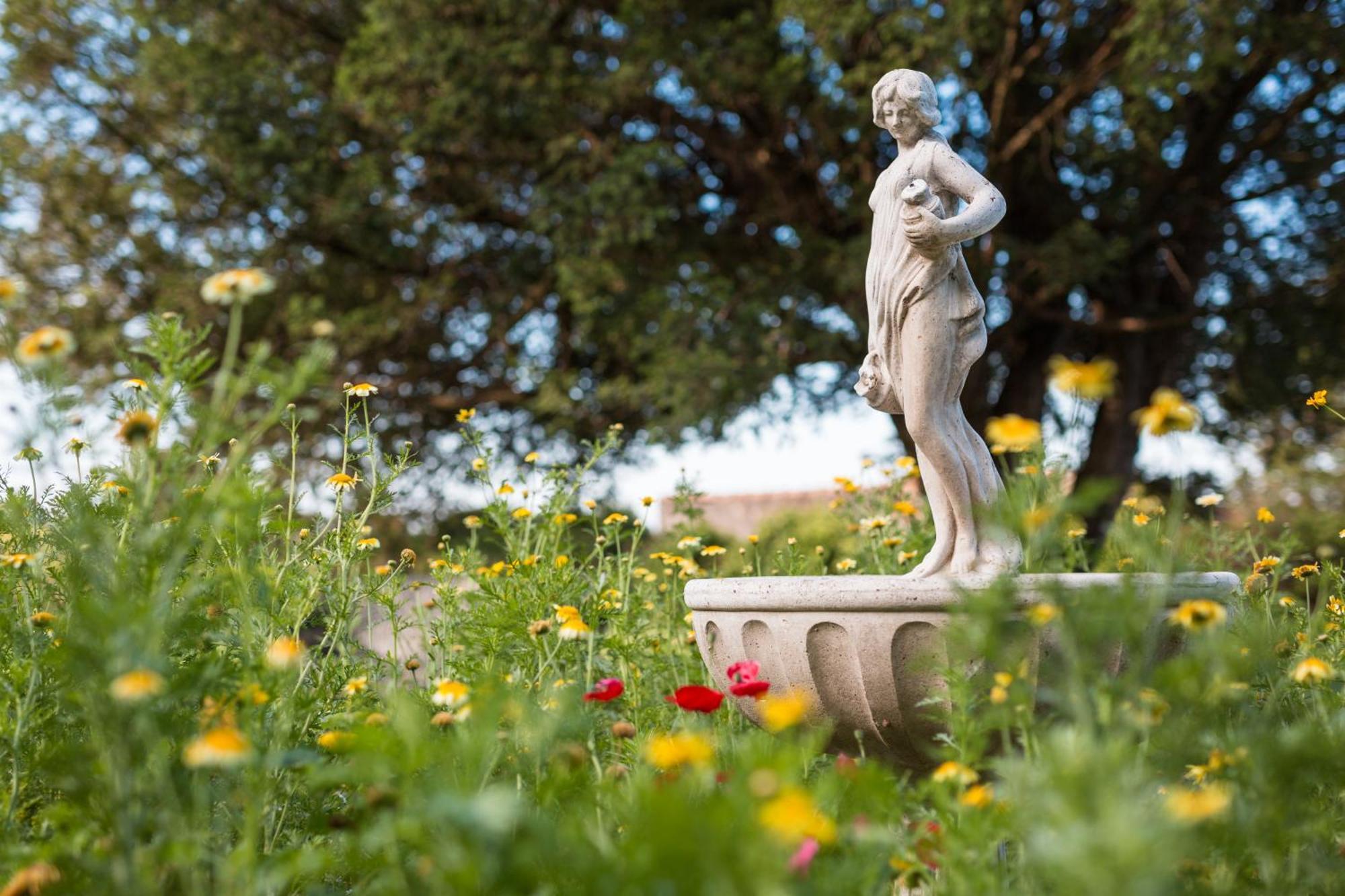 Chateau Montplaisir Charming B&B In Provence Valréas Dış mekan fotoğraf